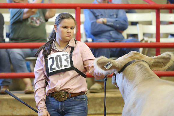 East Texas State Fair - Steer Show-065