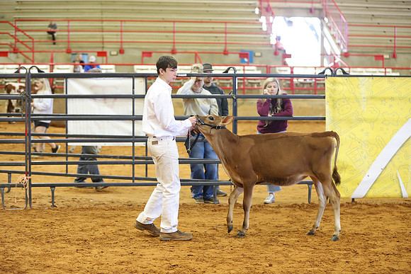 East Texas State Fair - Dairy Show-171