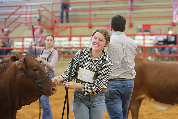 EastTexasStateFair-JBBAHeiferShowmanship-01