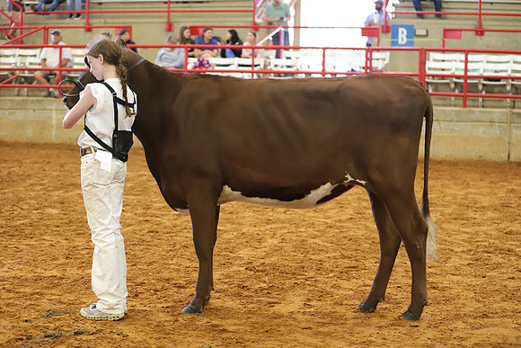 East Texas State Fair - Dairy Show-204
