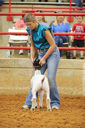 East Texas State Fair - Goat Showmanship-153