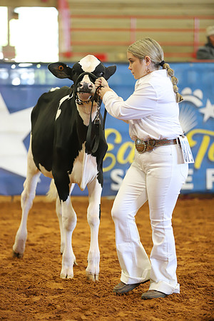East Texas State Fair - Dairy Show-338
