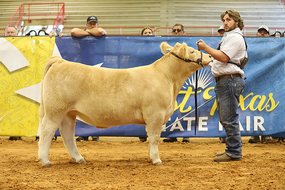 East Texas State Fair - Steer Show-069