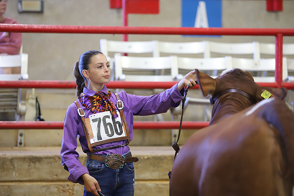 EastTexasStateFair-JBBAHeiferShowmanship-43