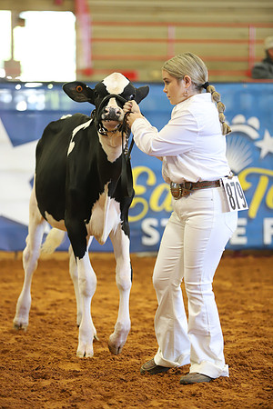 East Texas State Fair - Dairy Show-339