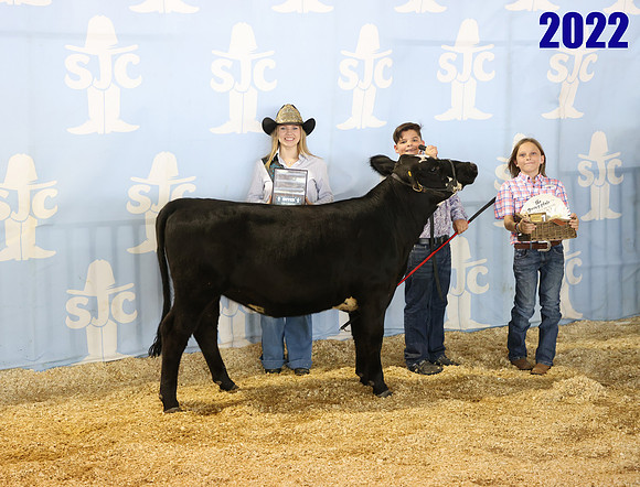 lot 147