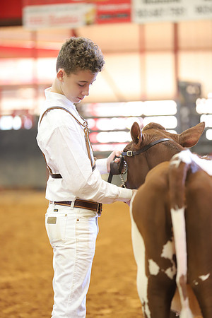 East Texas State Fair - Dairy Show-257