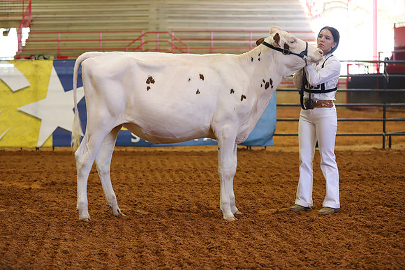 East Texas State Fair - Dairy Show-306