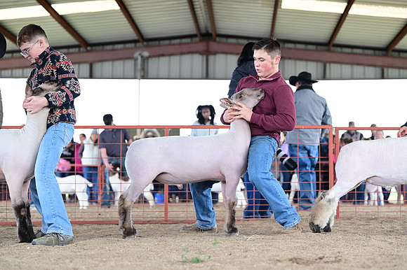 CVW_2820