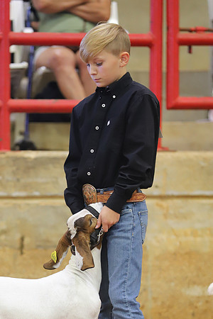 East Texas State Fair - Goat Showmanship-015