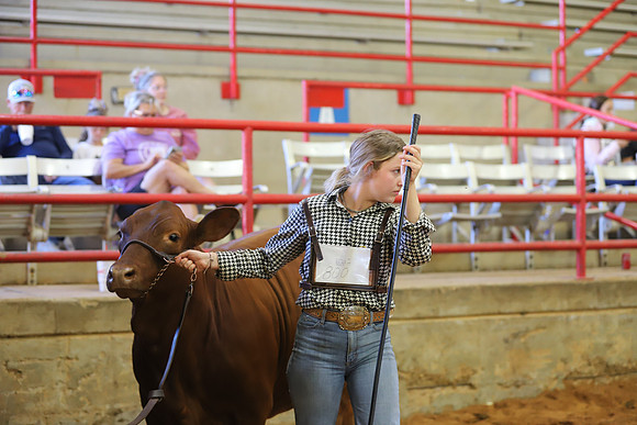 EastTexasStateFair-JBBAHeiferShowmanship-07