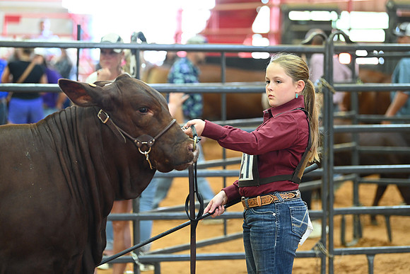 DSC_1557