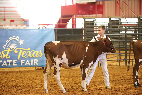 East Texas State Fair - Dairy Show-214