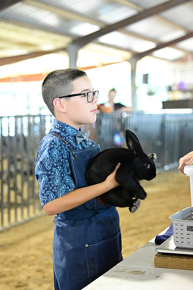DSC_4144