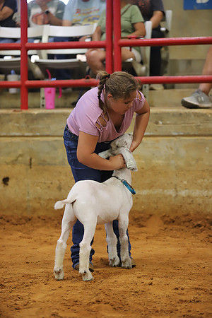 East Texas State Fair - Goat Showmanship-032