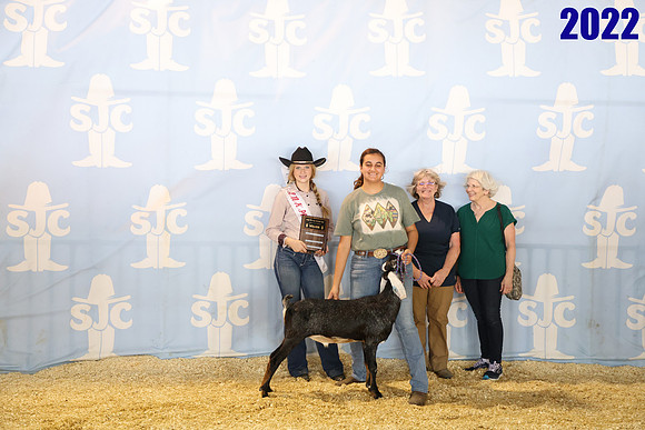 lot 115