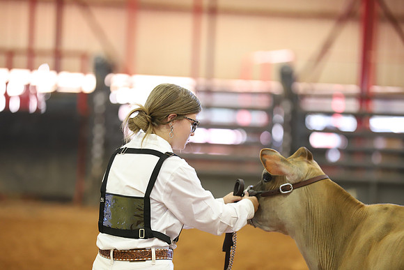 East Texas State Fair - Dairy Show-165