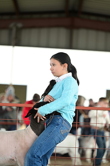 CVW_2938