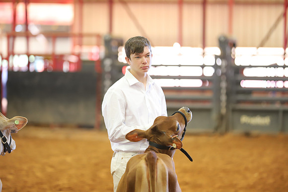 East Texas State Fair - Dairy Show-177