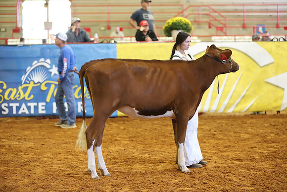 East Texas State Fair - Dairy Show-212