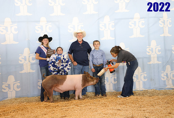 lot 146