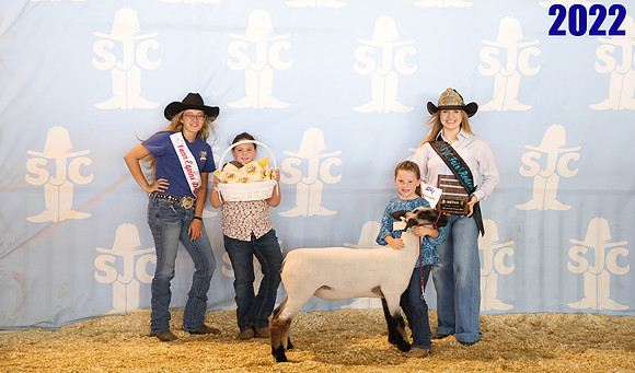 lot 88