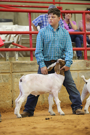 East Texas State Fair - Goat Show-072