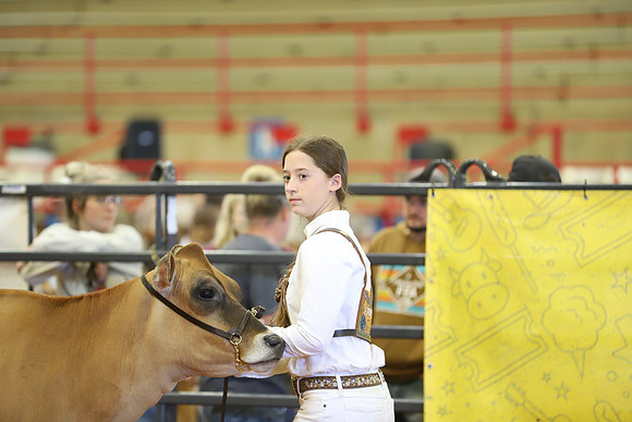 East Texas State Fair - Dairy Show-138