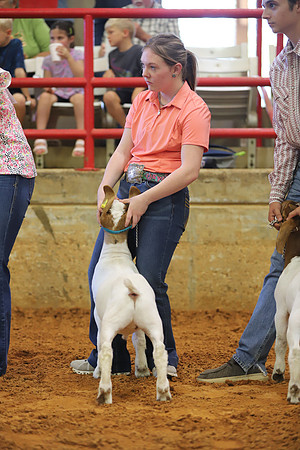 East Texas State Fair - Goat Showmanship-142