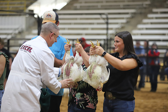 IMG_3453