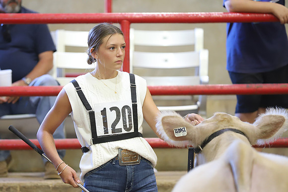 East Texas State Fair - Steer Show-064