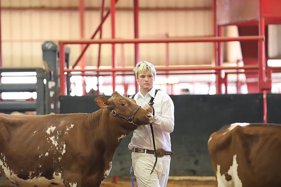 East Texas State Fair - Dairy Show-208