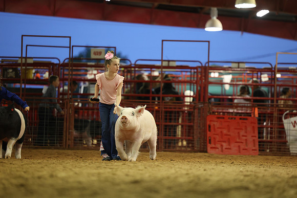 2L6A3216
