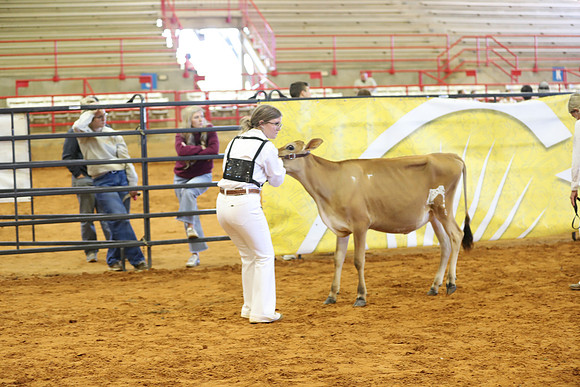 East Texas State Fair - Dairy Show-176