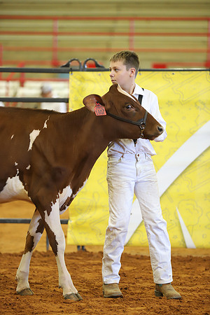 East Texas State Fair - Dairy Show-267