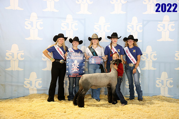 Lot 6