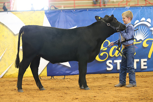 EastTexasStateFair-BritishHeiferShowmanship-60