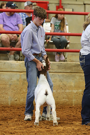 East Texas State Fair - Goat Showmanship-149