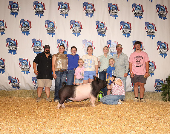 Pig Backdrop 6