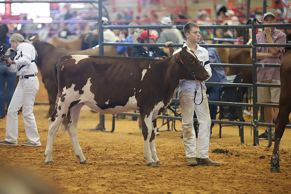 East Texas State Fair - Dairy Show-011