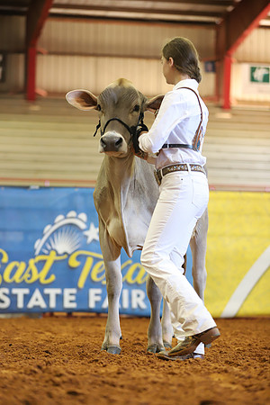 East Texas State Fair - Dairy Show-369