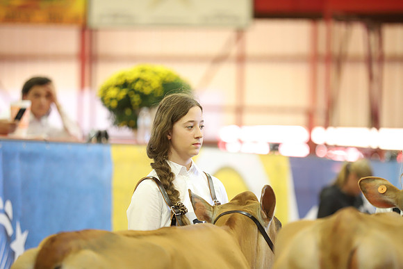 East Texas State Fair - Dairy Show-135