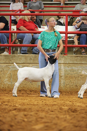 East Texas State Fair - Goat Showmanship-070