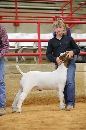 East Texas State Fair - Goat Show-007