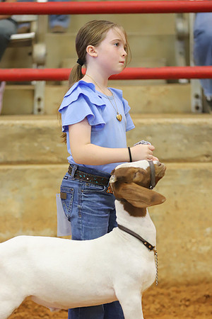 East Texas State Fair - Goat Showmanship-020