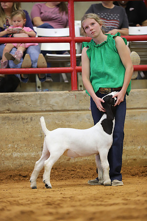 East Texas State Fair - Goat Show-143