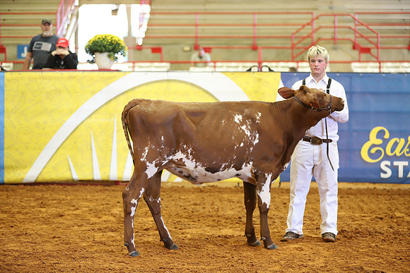 East Texas State Fair - Dairy Show-200