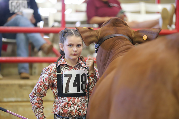 EastTexasStateFair-JBBAHeiferShowmanship-36