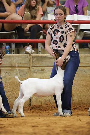 East Texas State Fair - Goat Show-141