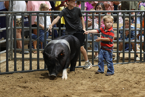 GGR_0917